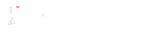 Pamphlett Sea Scouts