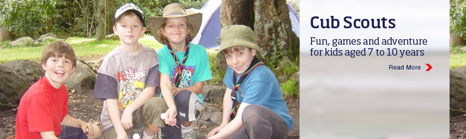 Cub Scouts