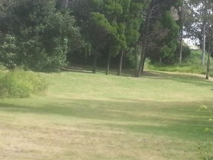 TennysonDen Campsite Flats